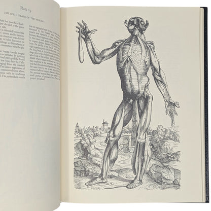 The Illustrations from Works of Andreas Vesalius of Brussels