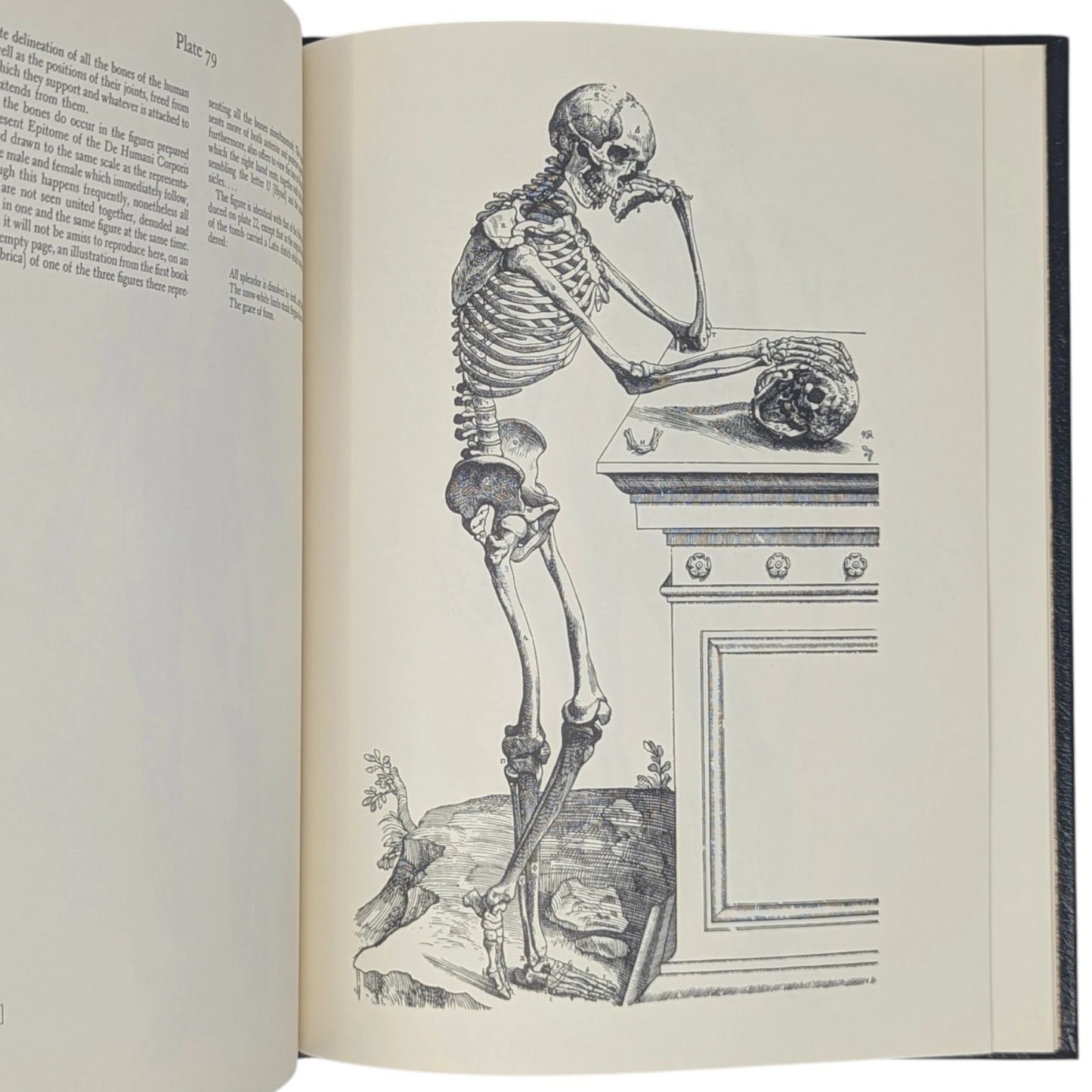 The Illustrations from Works of Andreas Vesalius of Brussels