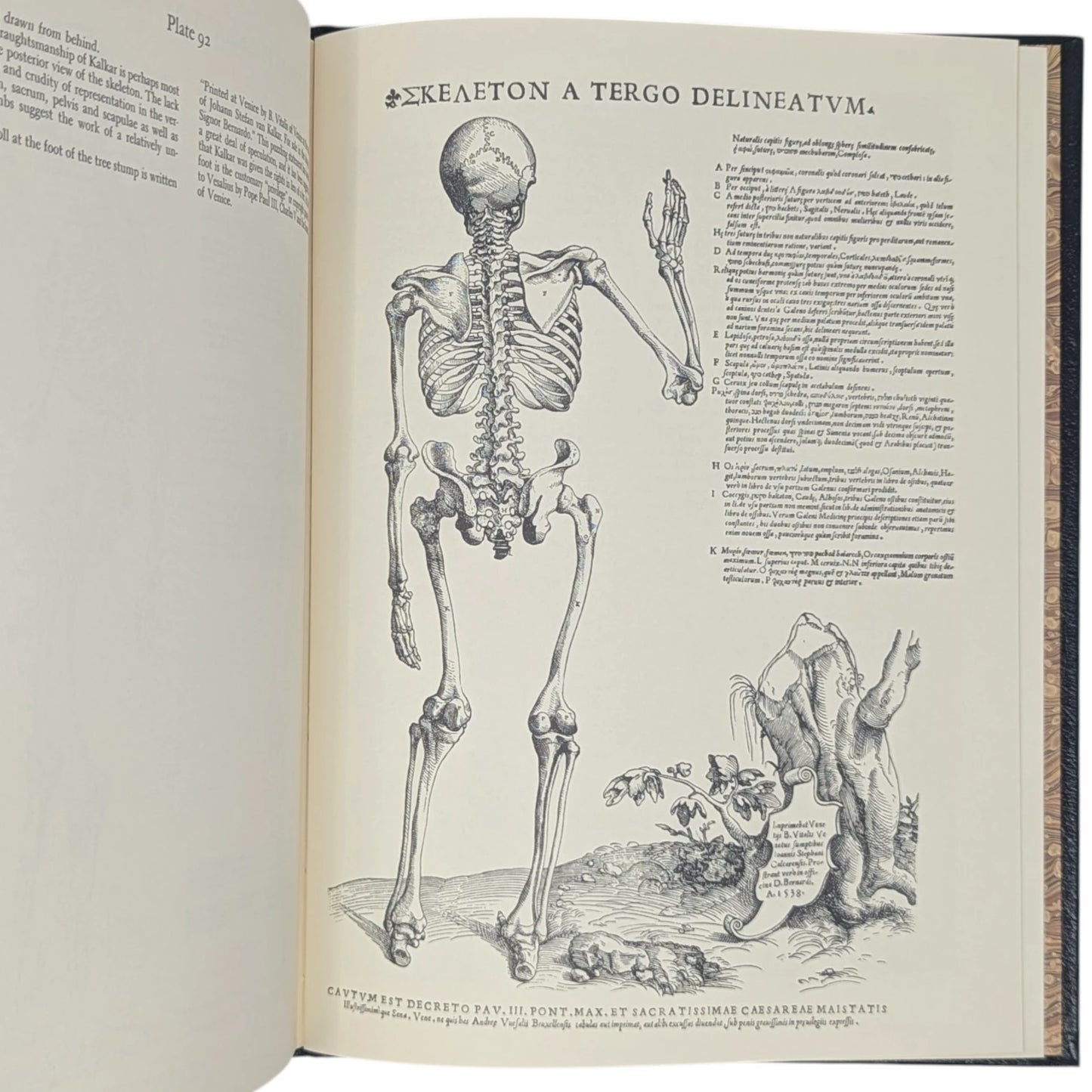 The Illustrations from Works of Andreas Vesalius of Brussels
