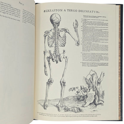 The Illustrations from Works of Andreas Vesalius of Brussels