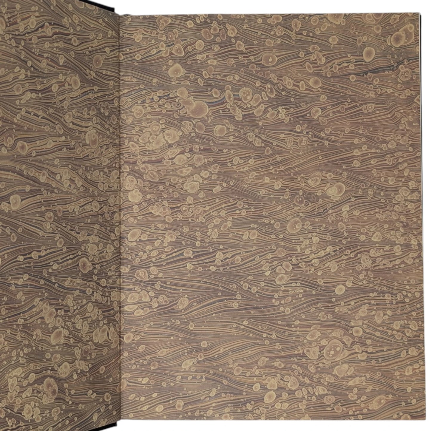 The Illustrations from Works of Andreas Vesalius of Brussels