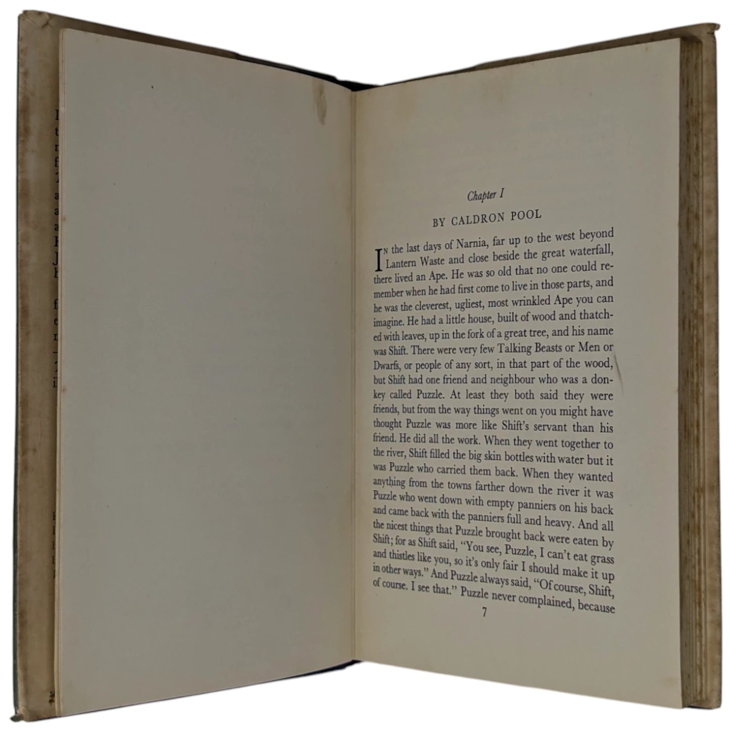 The Last Battle (The Chronicles of Narnia)