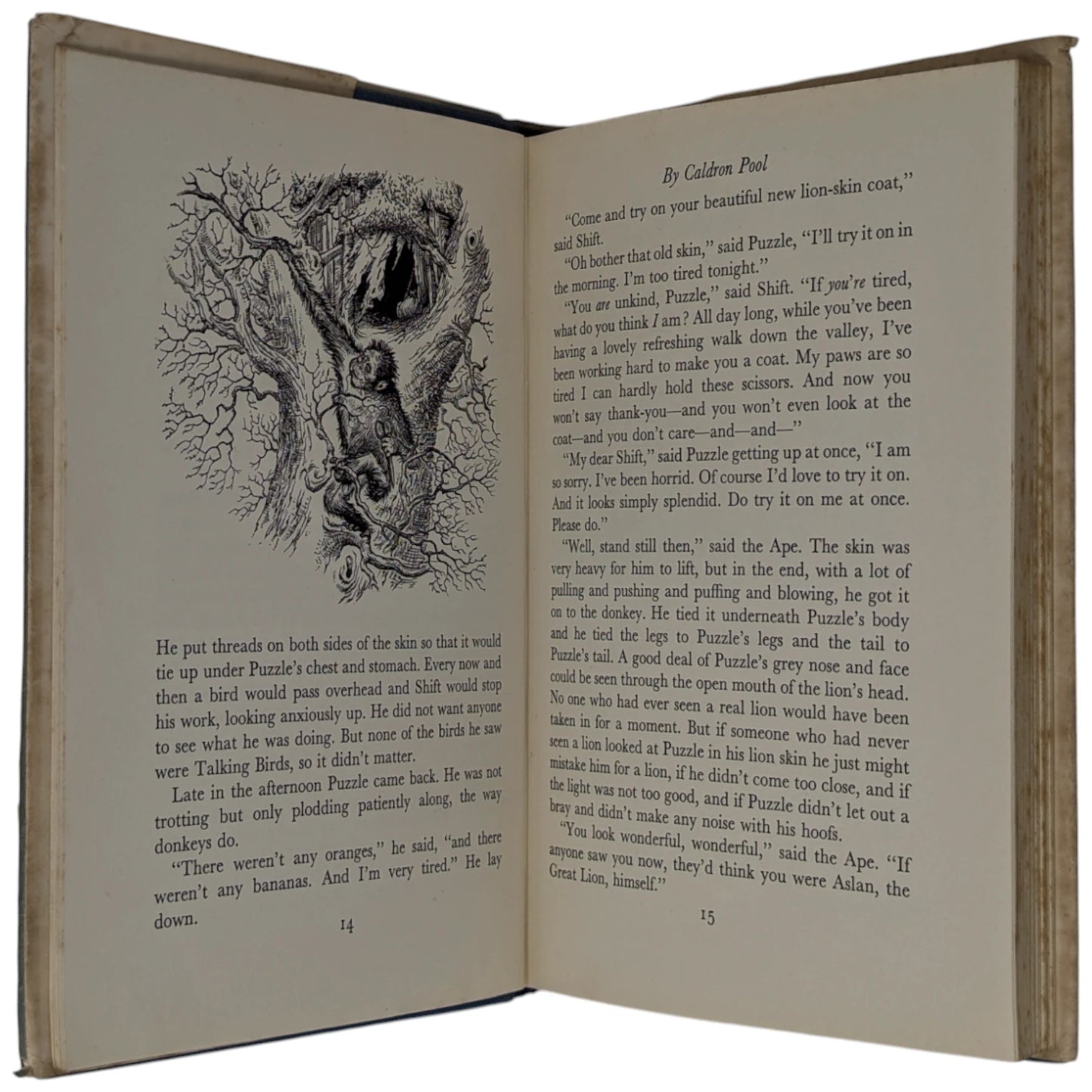 The Last Battle (The Chronicles of Narnia)