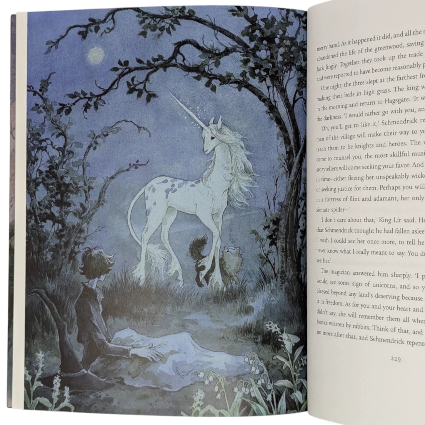 The Last Unicorn