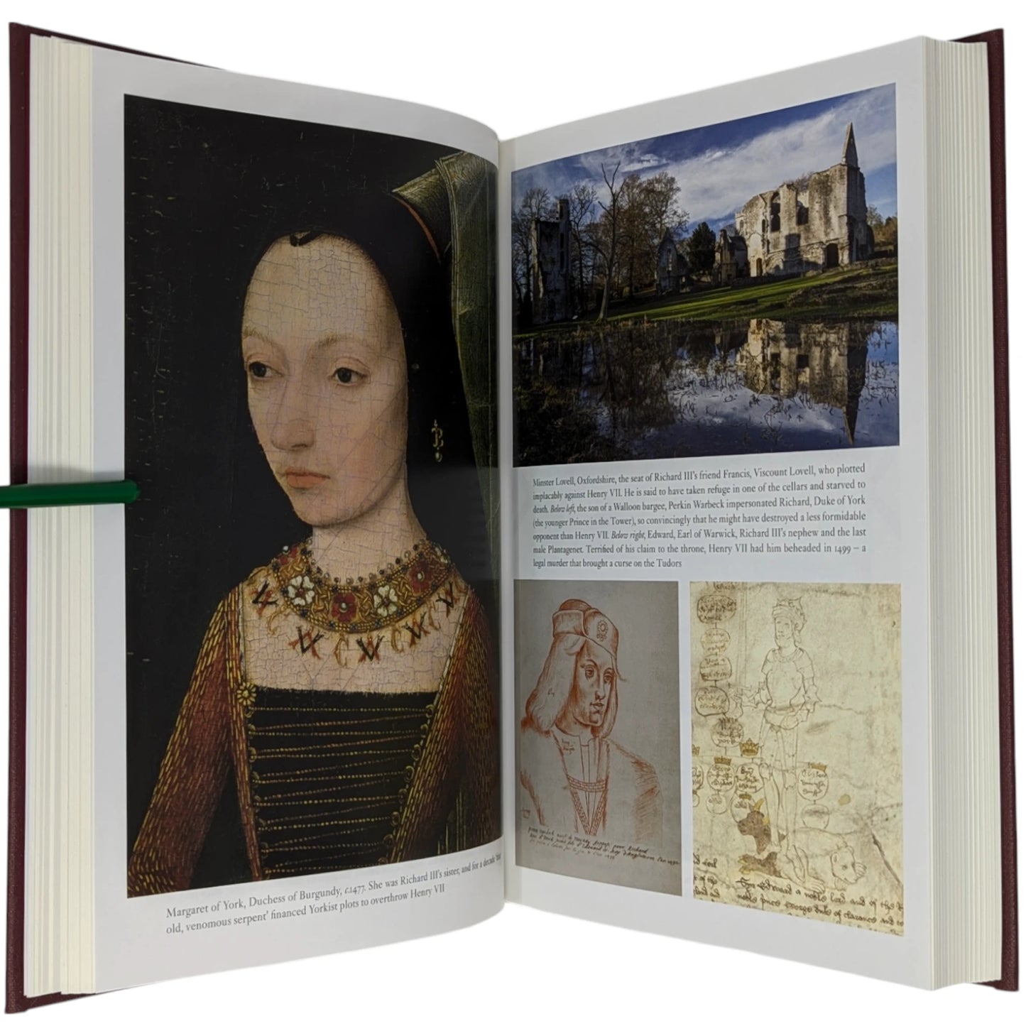 The Last White Rose: The Secret Wars of the Tudors