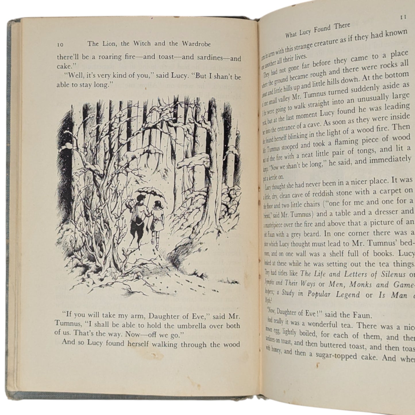 The Lion, the Witch, and the Wardrobe