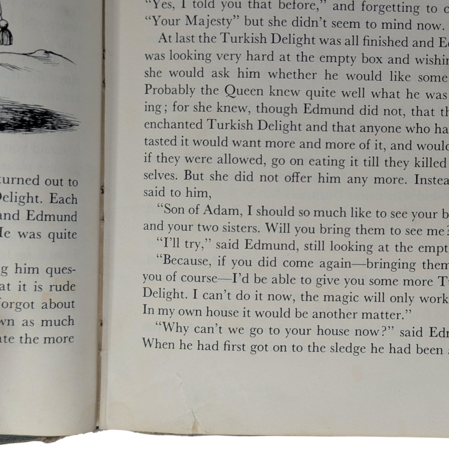 The Lion, the Witch, and the Wardrobe