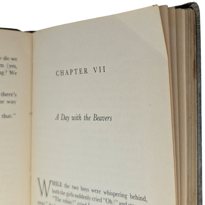 The Lion, the Witch, and the Wardrobe