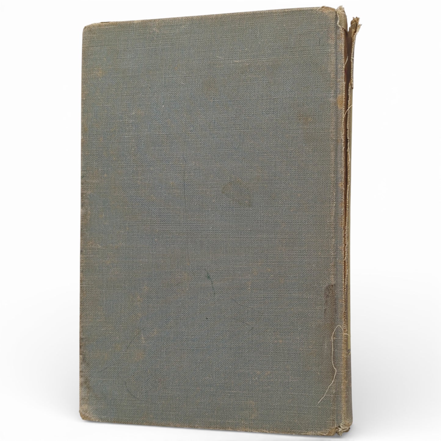 The Lion, the Witch, and the Wardrobe