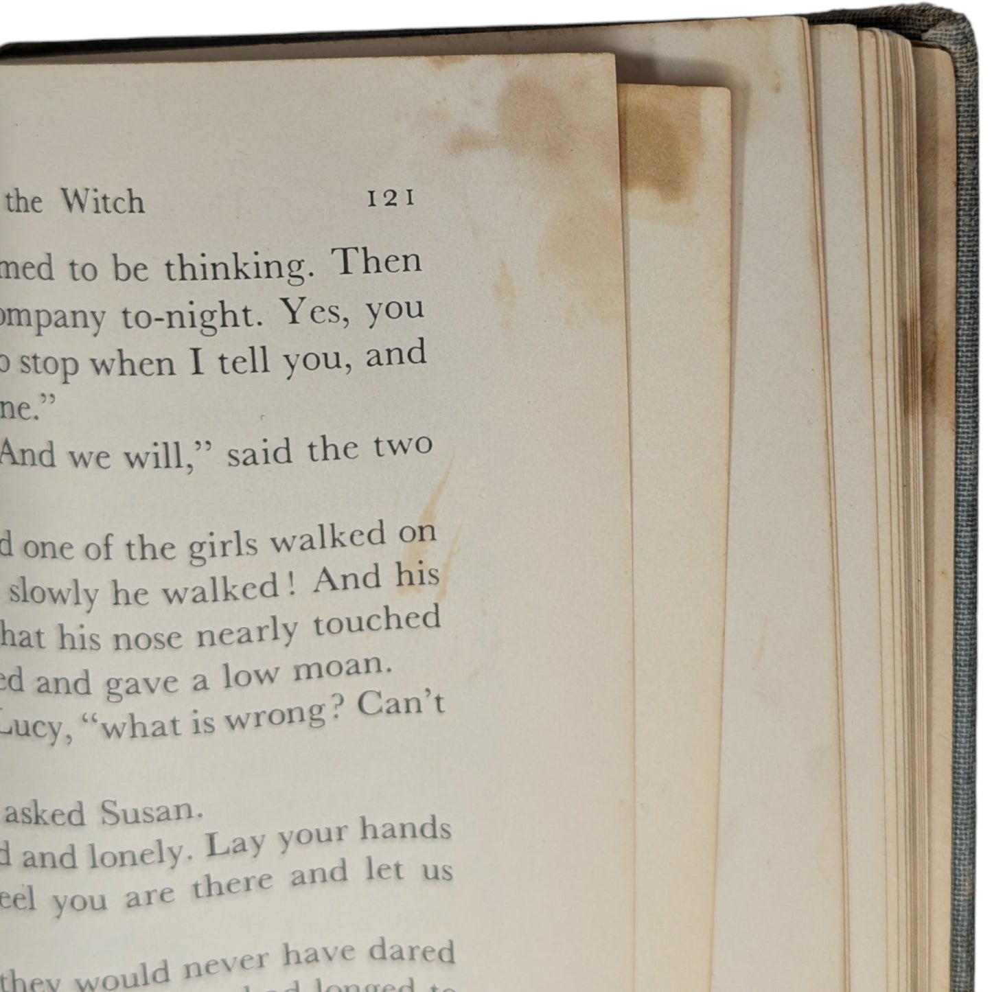 The Lion, the Witch, and the Wardrobe