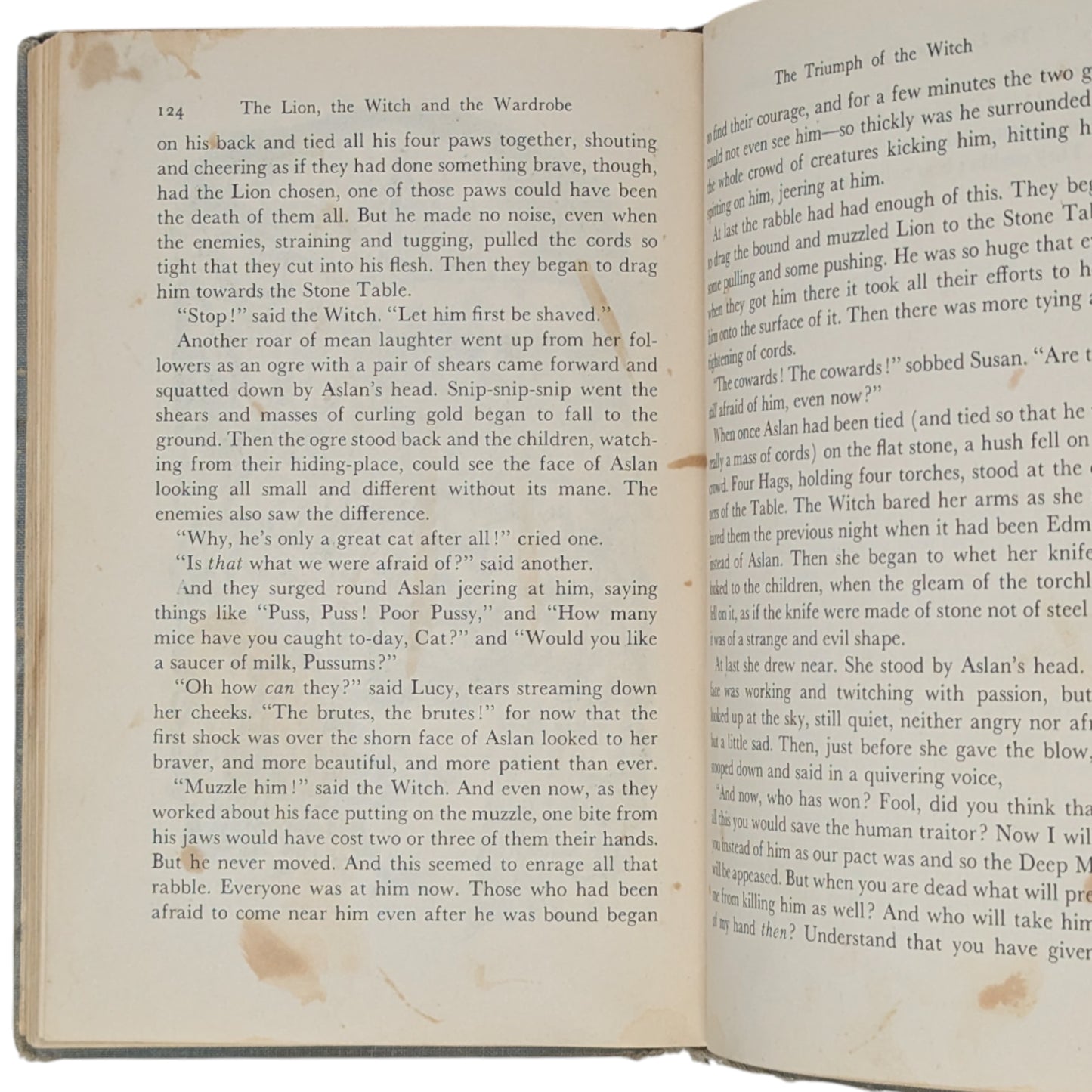 The Lion, the Witch, and the Wardrobe