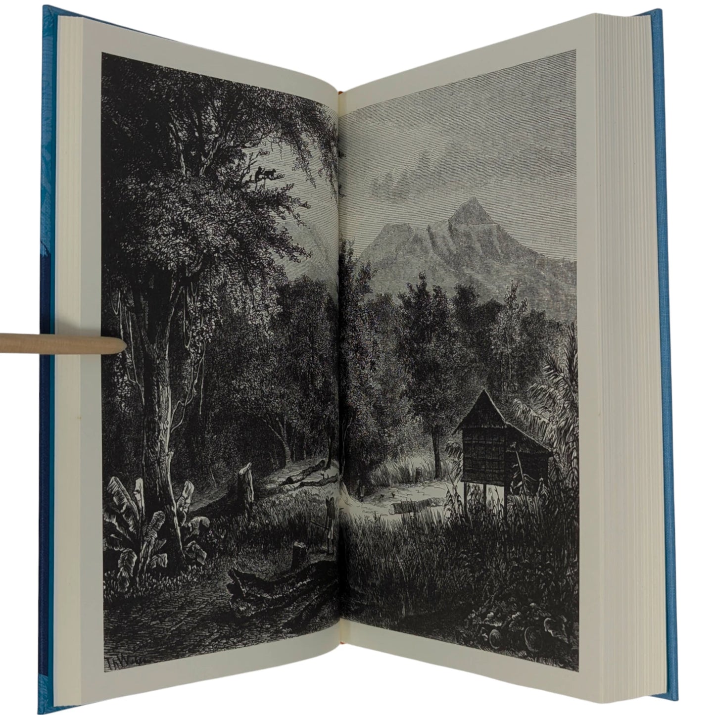 The Malay Archipelago