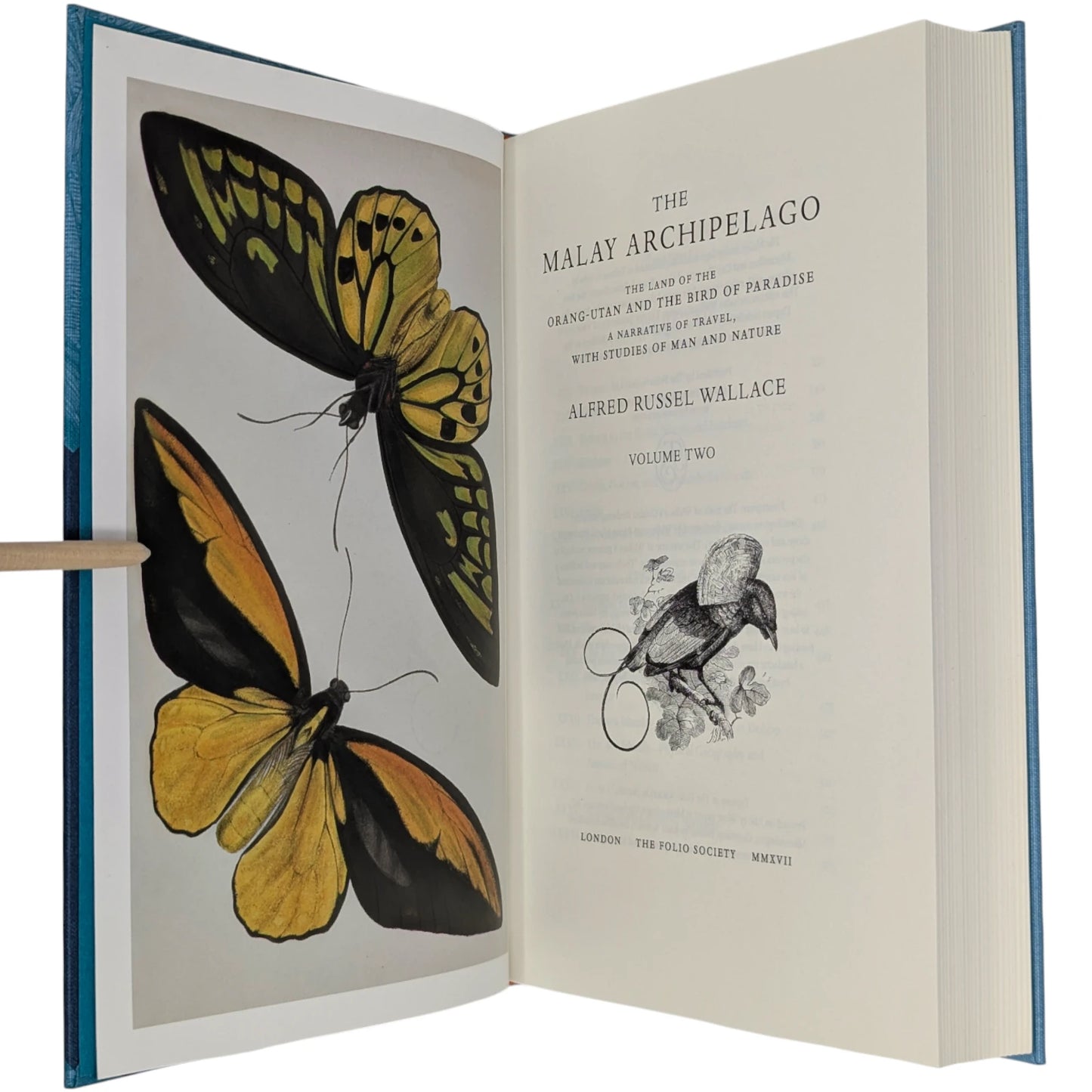 The Malay Archipelago