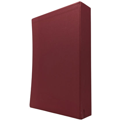 The Master and Margarita