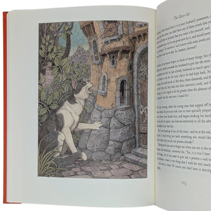 The Orange Fairy Book