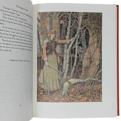 The Orange Fairy Book