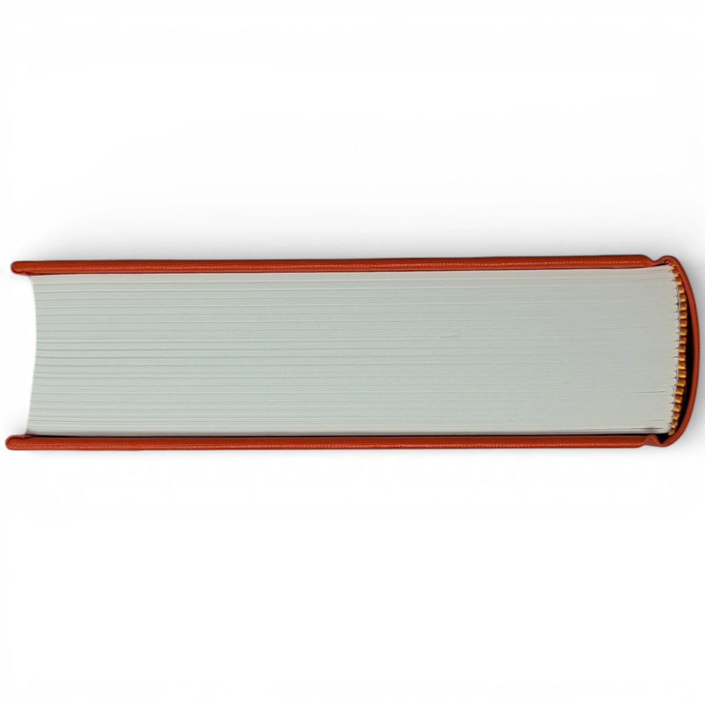 The Orange Fairy Book