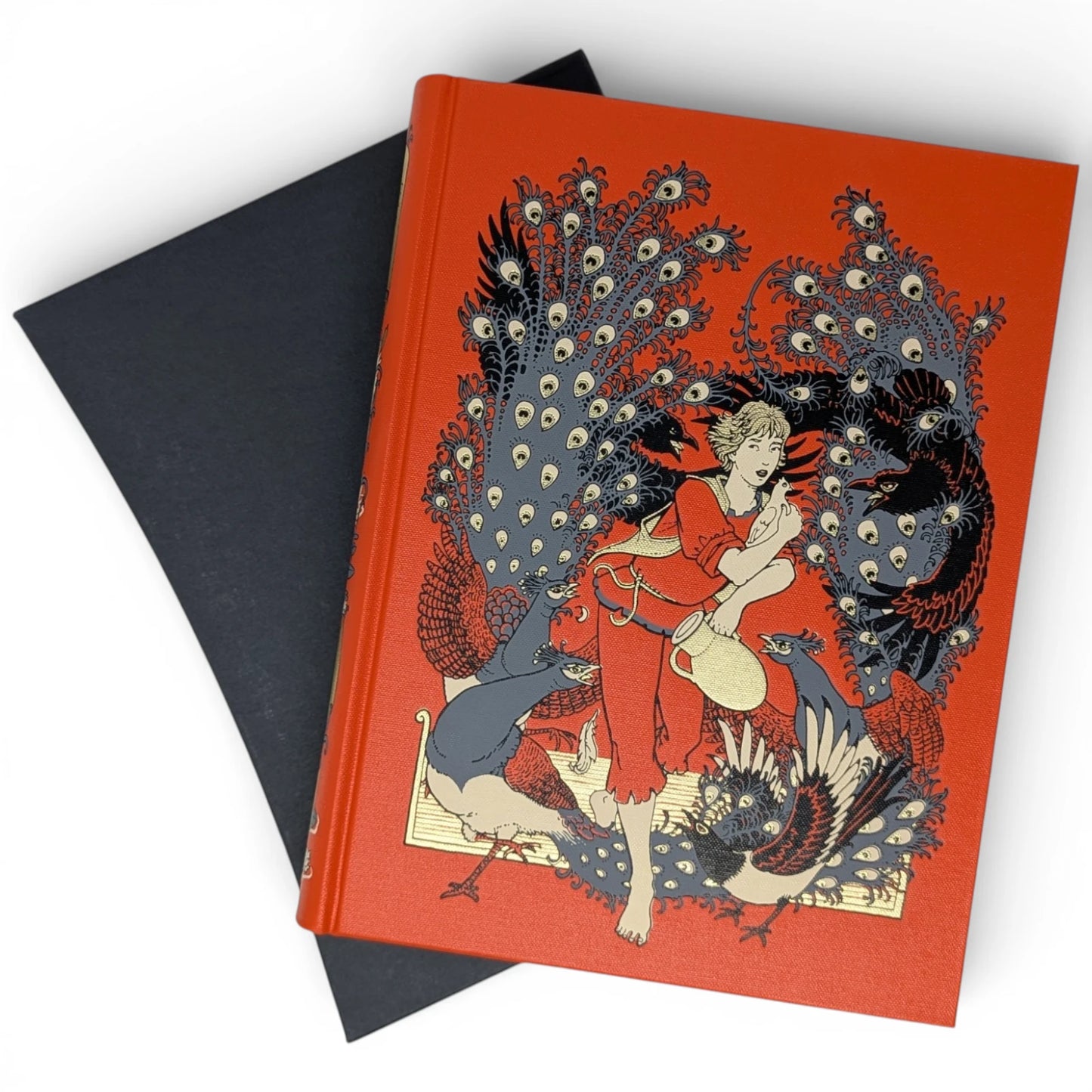 The Orange Fairy Book
