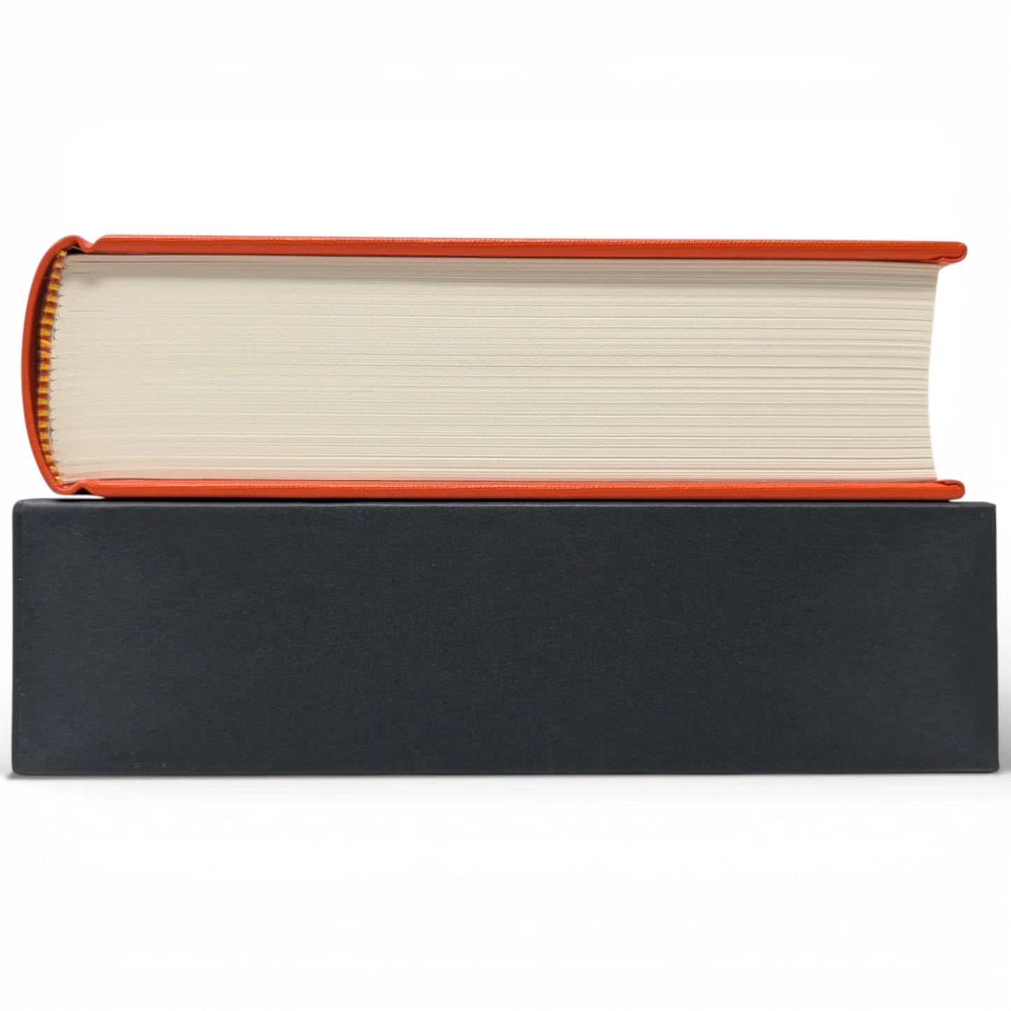 The Orange Fairy Book