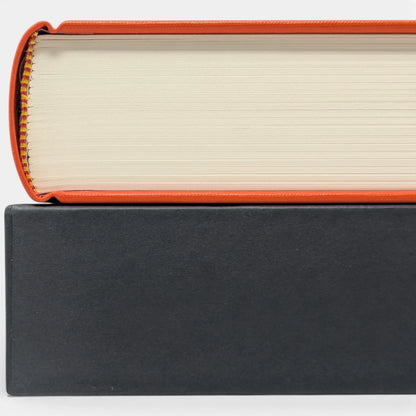 The Orange Fairy Book