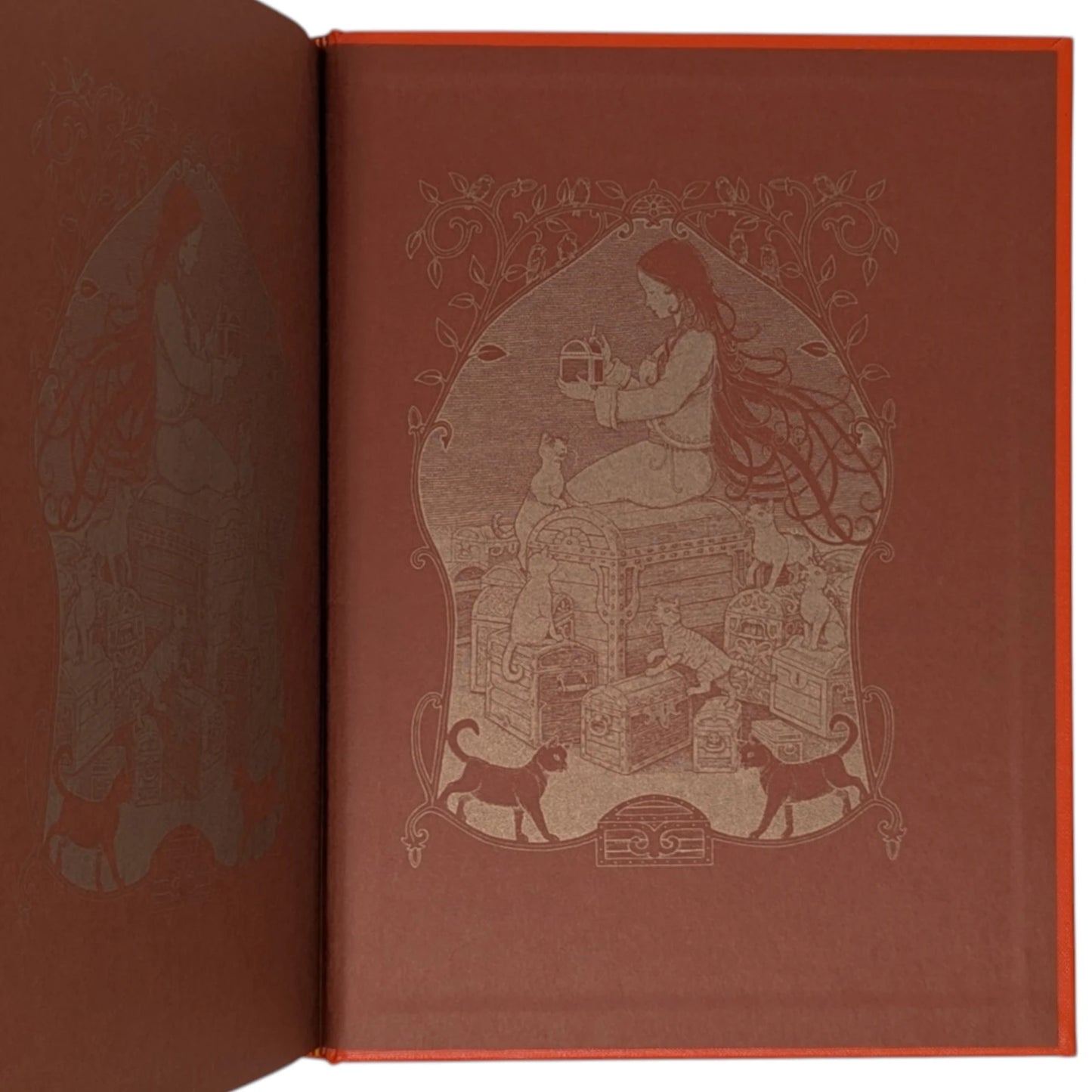The Orange Fairy Book