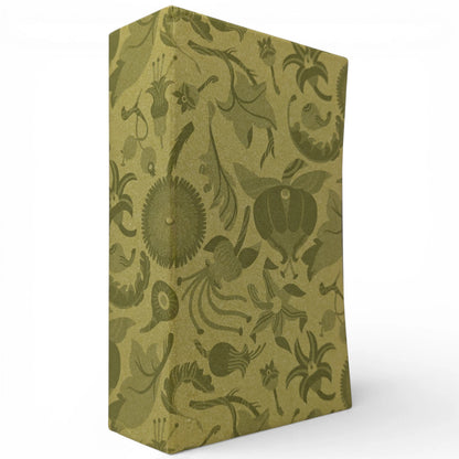 The Seasons Anthologies: Summer; Autumn; Winter; Spring (Slipcased)