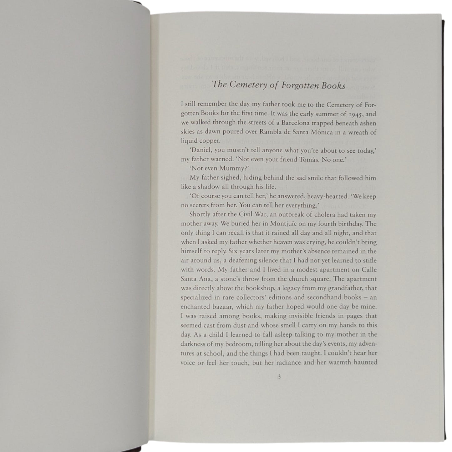 The Shadow of the Wind