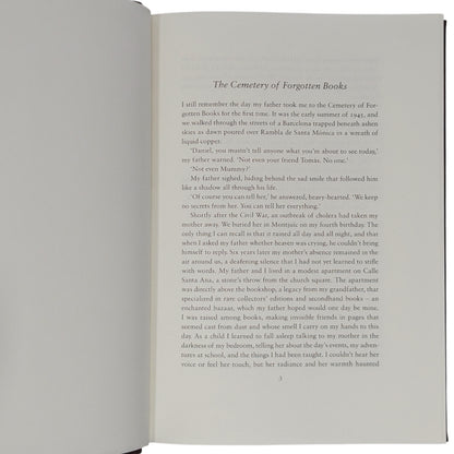 The Shadow of the Wind