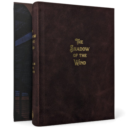 The Shadow of the Wind