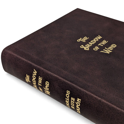 The Shadow of the Wind