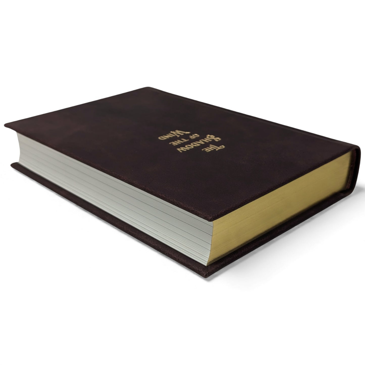 The Shadow of the Wind