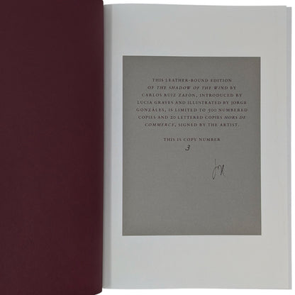 The Shadow of the Wind