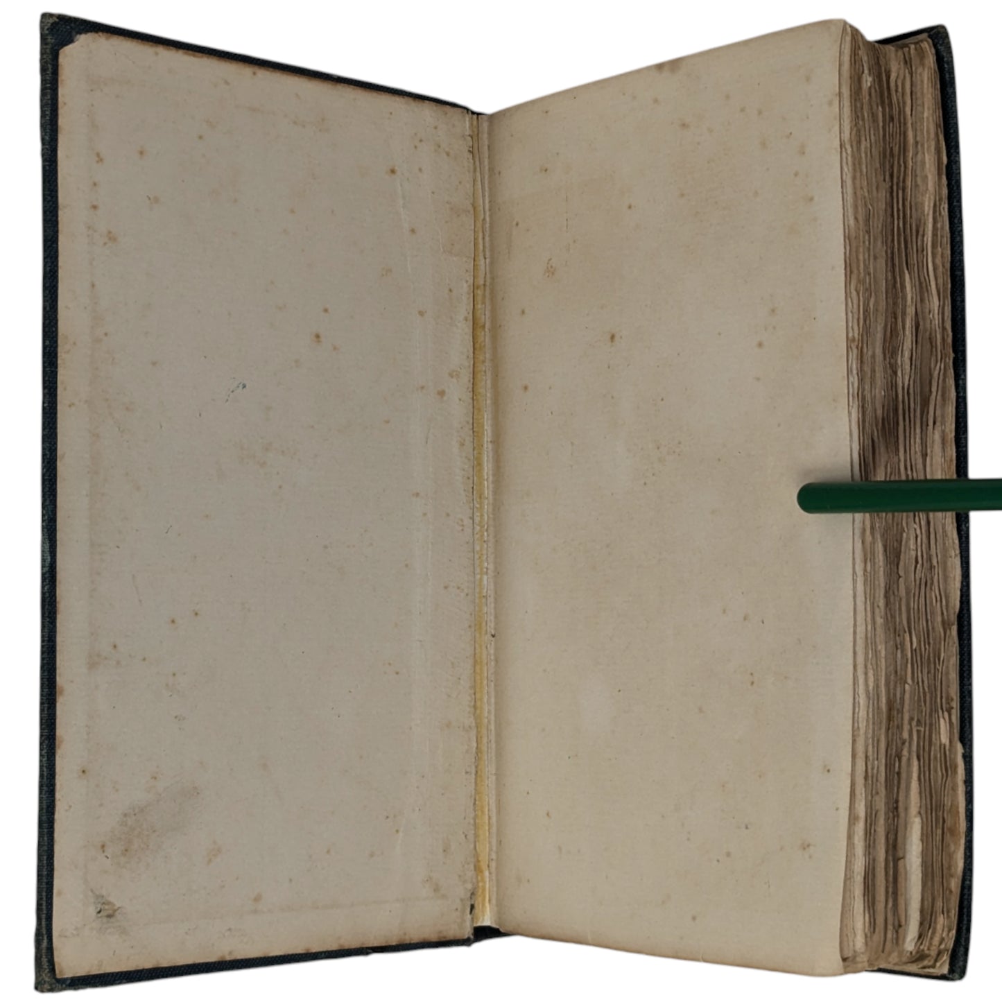 The Wind in the Willows