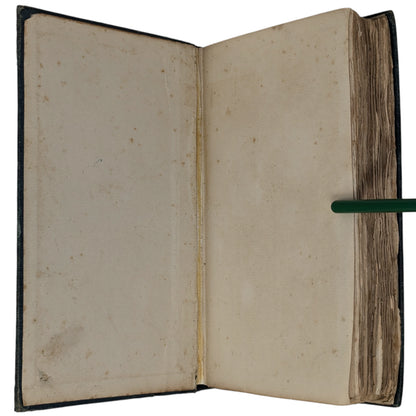 The Wind in the Willows