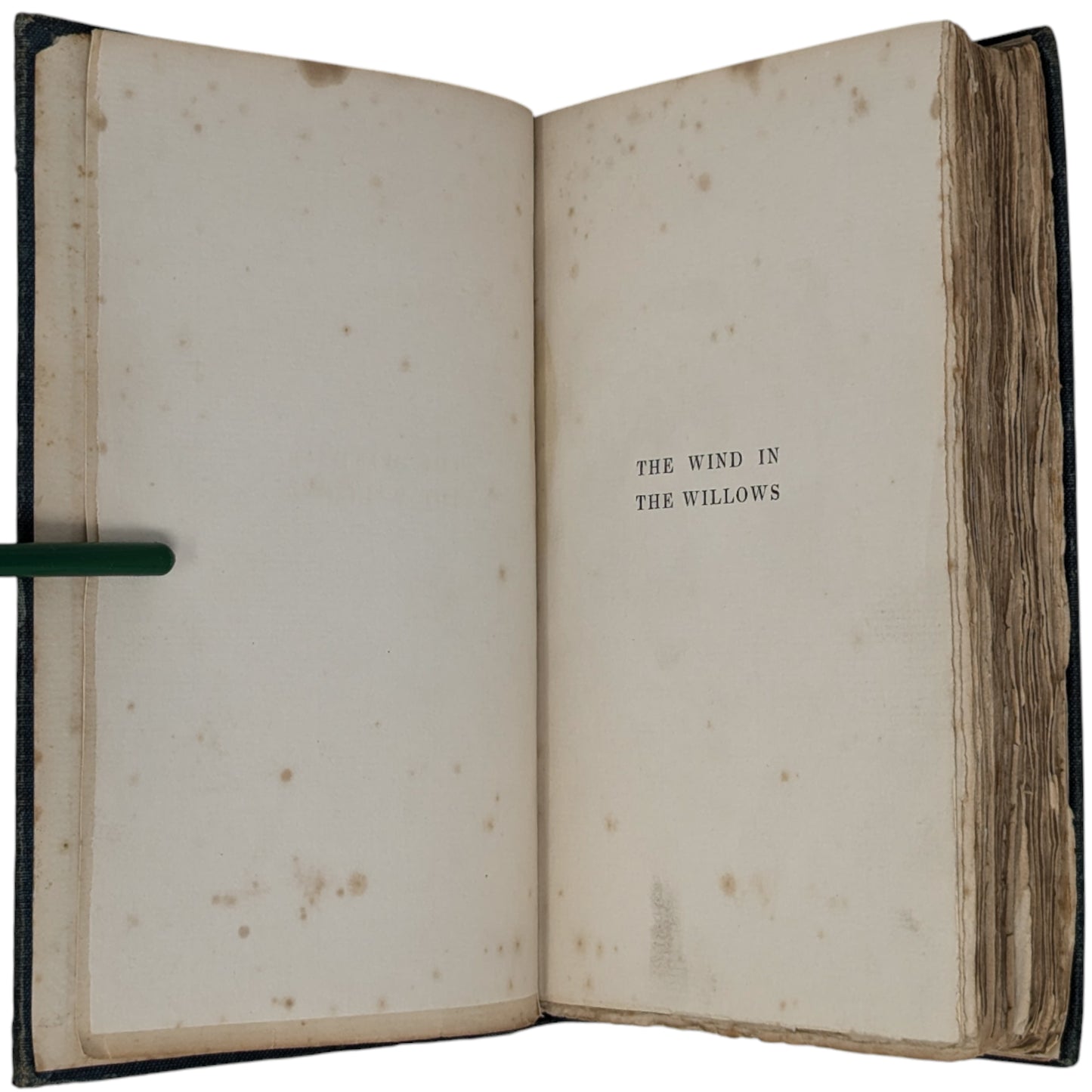 The Wind in the Willows