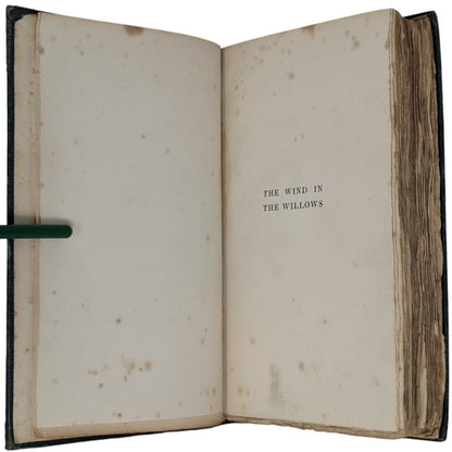 The Wind in the Willows