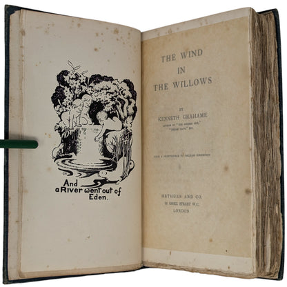 The Wind in the Willows