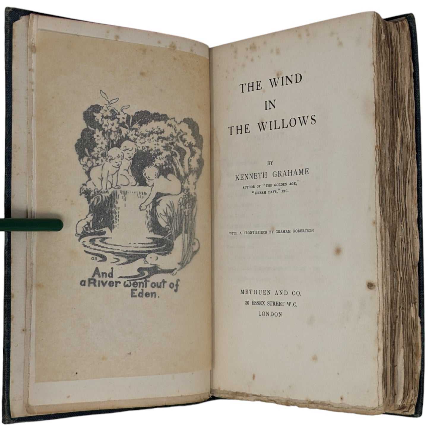 The Wind in the Willows