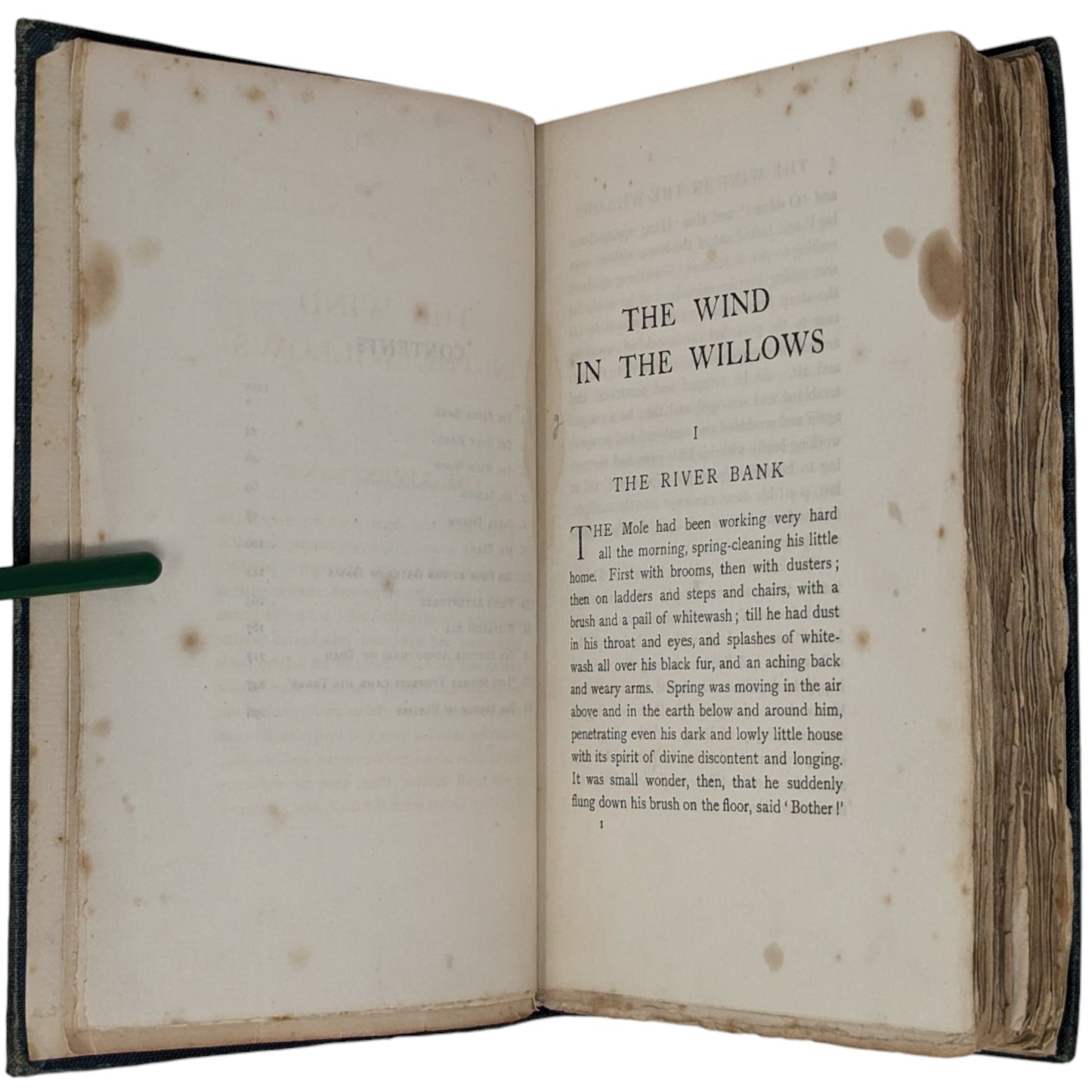 The Wind in the Willows