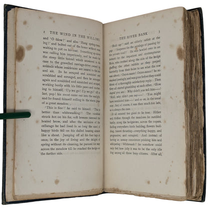 The Wind in the Willows