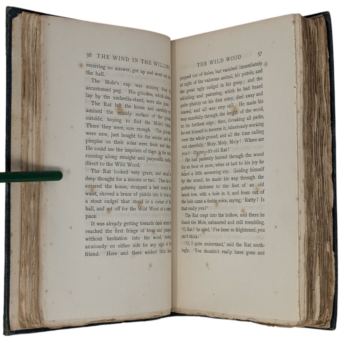 The Wind in the Willows