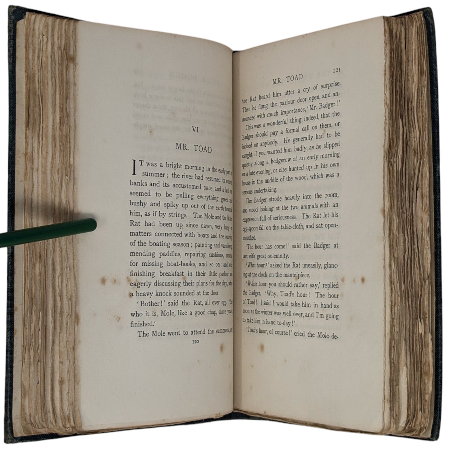 The Wind in the Willows