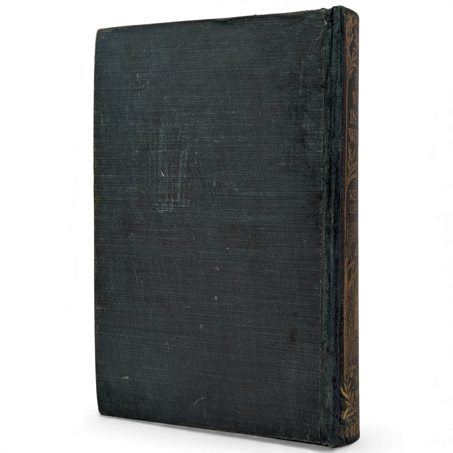 The Wind in the Willows