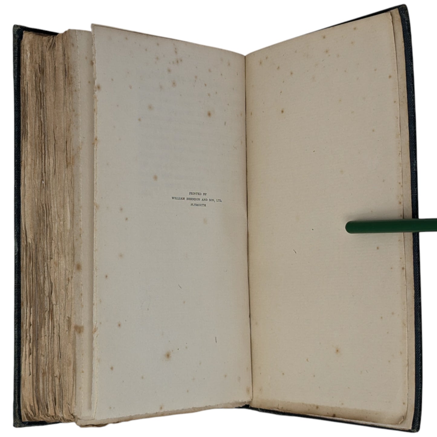 The Wind in the Willows