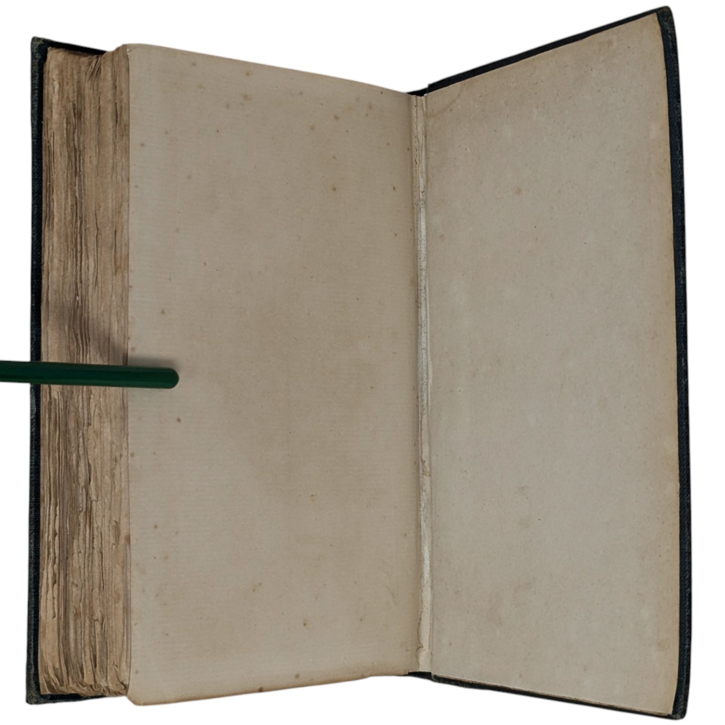 The Wind in the Willows