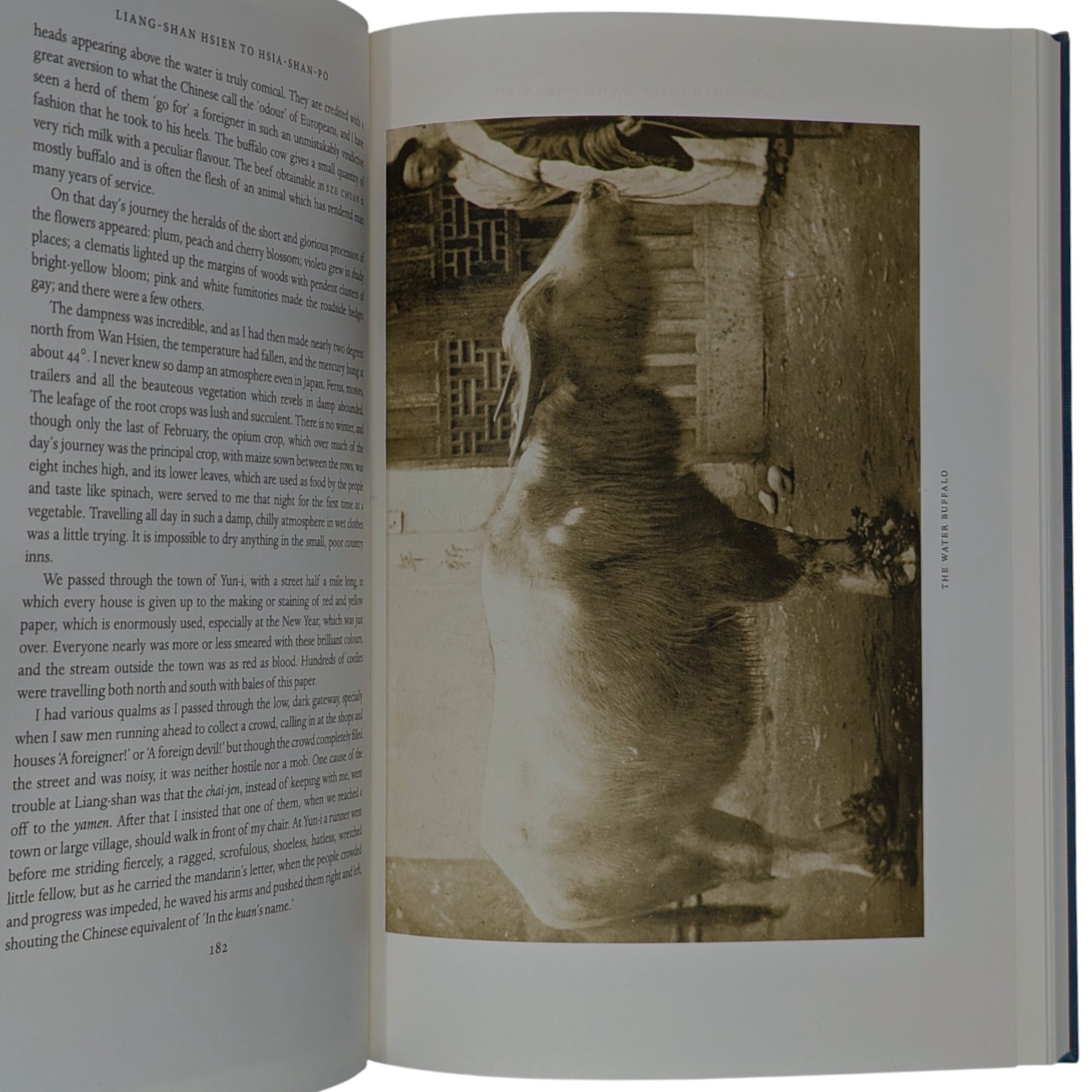 The Yangtze Valley and Beyond