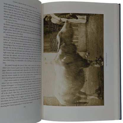 The Yangtze Valley and Beyond