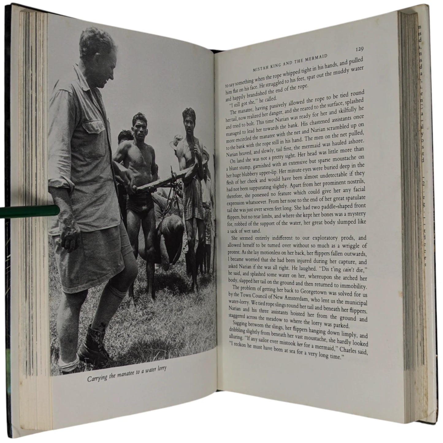 The Zoo Quest Expeditions: Travels in Guyana, Indonesia and Paraguay