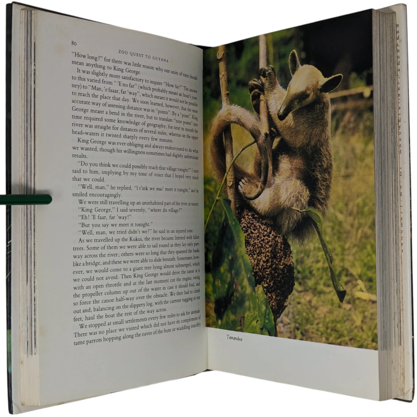 The Zoo Quest Expeditions: Travels in Guyana, Indonesia and Paraguay