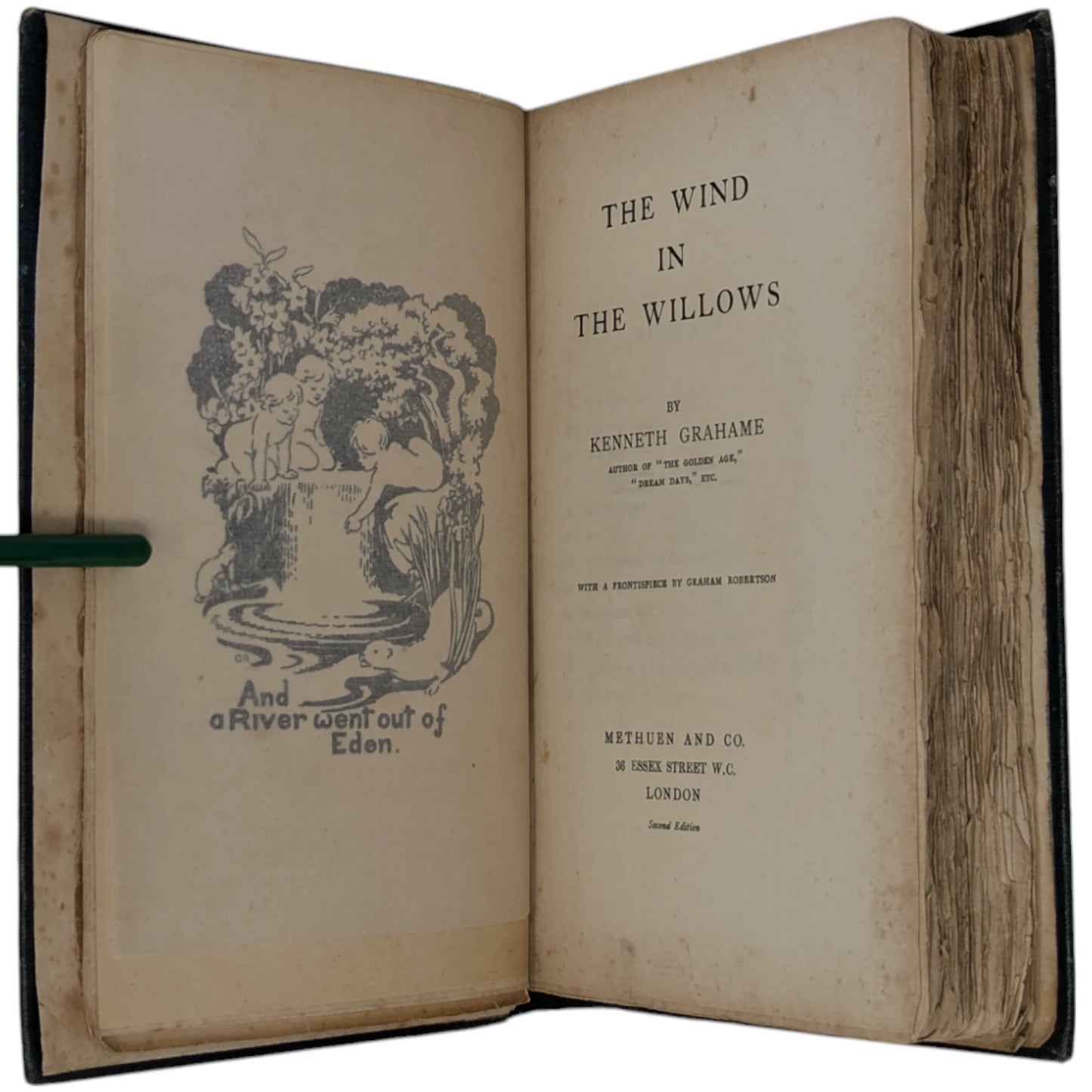 The Wind in the Willows